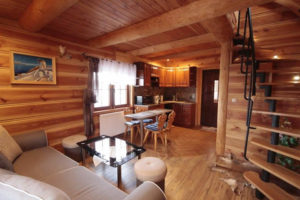 POKOJE AGATA - APARTAMENT DOMEK