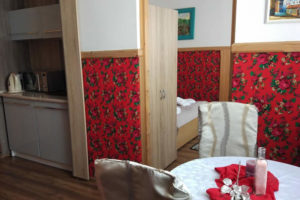 POKOJE AGATA - APARTAMENT DOMEK