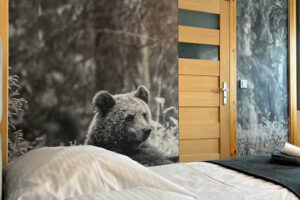 NOCLEGI U MARZENKI Z BASENEM MURZASICHLE TATRY