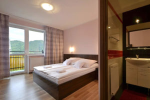 DW VENA APARTAMENTY & POKOJE Z WIDOKIEM SZCZAWNICA
