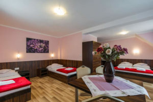 DW VENA APARTAMENTY & POKOJE Z WIDOKIEM SZCZAWNICA