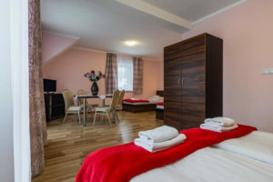 DW VENA APARTAMENTY & POKOJE Z WIDOKIEM SZCZAWNICA