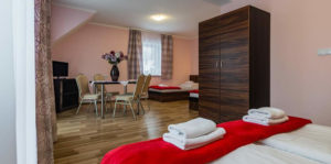 DW VENA APARTAMENTY & POKOJE Z WIDOKIEM SZCZAWNICA