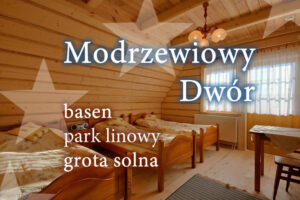 WILLA MODRZEWIOWY DWÓR BASEN KRYTY & GROTA SOLNA