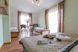 DW HALNY I MURZASICHLE