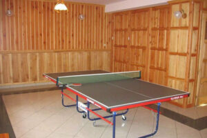 POKOJE HALINA W GÓRACH