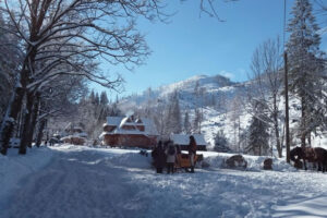 POKOJE & GOSPODA HARNAŚ KOŚCIELISKO