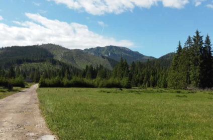 POKOJE & GOSPODA HARNAŚ KOŚCIELISKO