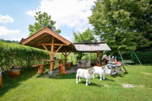 POKOJE U EWY BLISKO WYCIĄGU & BASENÓW