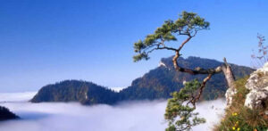 POKOJE SZAROTKA SZCZAWNICA PIENINY