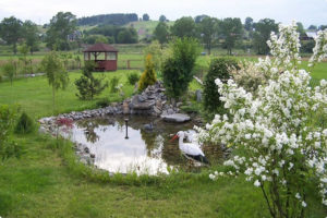 DOMEK I POKOJE MONIKA PRZY TERMACH