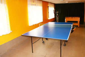 DOMEK I POKOJE MONIKA PRZY TERMACH