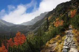 POKOJE HANKA W GÓRACH BLISKO TATRY PIENINY