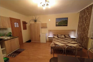 POKOJE ARENDA NAD JEZIOREM CZORSZTYŃSKIM NIEDZICA