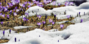 BIAŁY ORZEŁ POKOJE W ZAKOPANEM