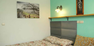 APARTAMENT & POKOJE U PAWŁA NIEDZICA PIENINA