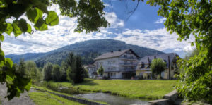 OŚRODEK REGOR TURNUSY REHABILITACYJNE BRENNA