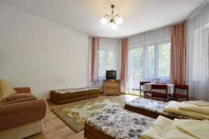 DW CHEMIK W CENTRUM SZCZAWNICY PIENINY