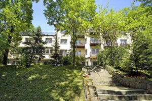 DW CHEMIK W CENTRUM SZCZAWNICY PIENINY