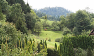 DW CHEMIK W CENTRUM SZCZAWNICY PIENINY