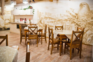 APARTAMENTY I POKOJE NA POLANIE Z WIDOKIEM NA GÓRY