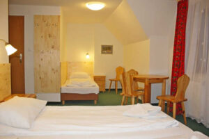 APARTAMENTY I POKOJE HALKA I HALSZKA ZAKOPANE TATRY