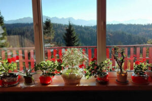 WOLNE POKOJE JOLKA Z WIDOKIEM NA GÓRY BUKOWINA TATRZAŃSKA